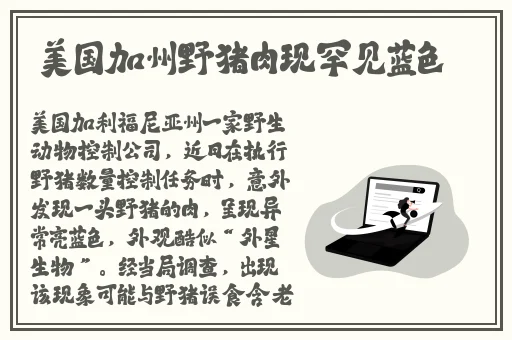 日产精品卡2卡3卡4卡免费