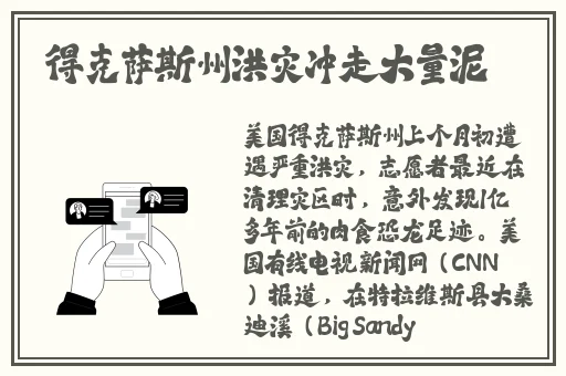 我是你可爱的小猫